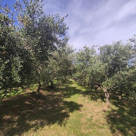 Apartman Villa Romana Grožnjan Extérieur photo