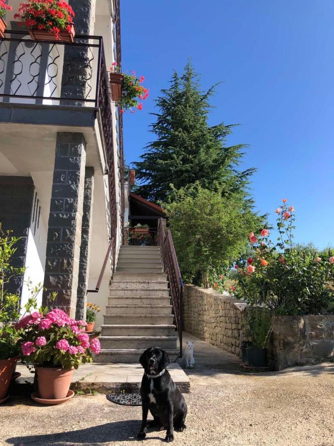 Apartman Villa Romana Grožnjan Extérieur photo
