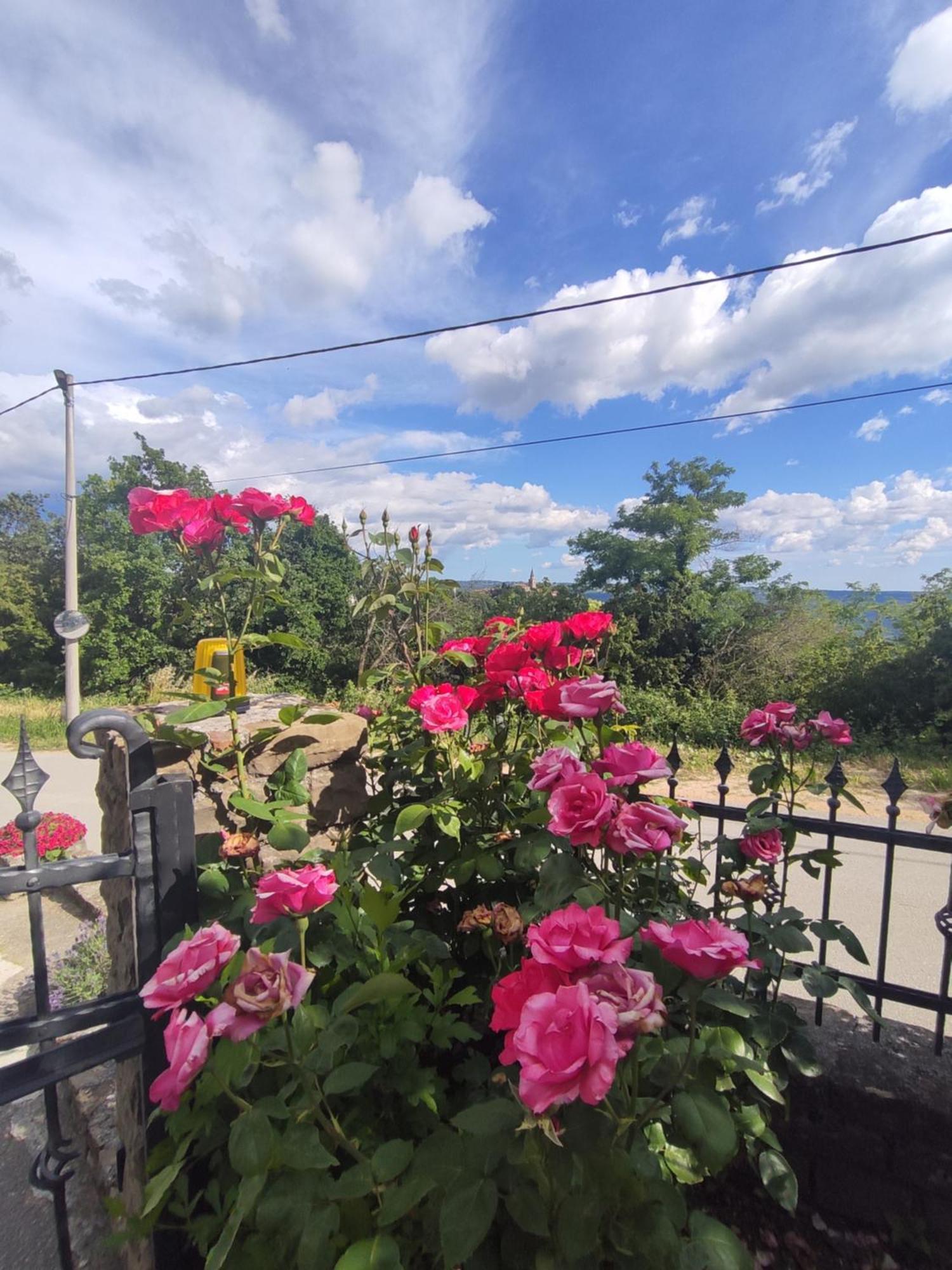 Apartman Villa Romana Grožnjan Extérieur photo