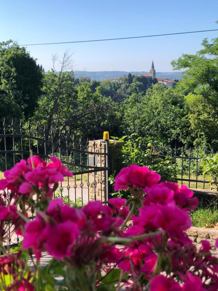 Apartman Villa Romana Grožnjan Extérieur photo